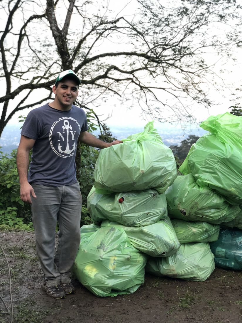 Cosecha de paltas en el Vivero del Matal